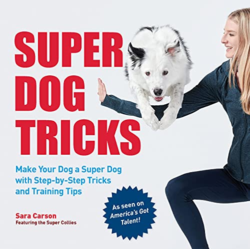 Super Dog Tricks: Make Your Dog a Super Dog with Step by Step Tricks and Training Tips - As Seen on America’s Got Talent! von Quarry Books
