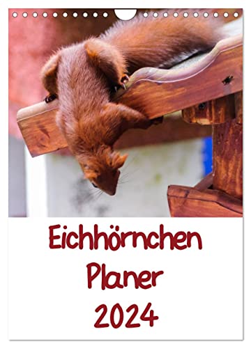 Eichhörnchen Planer 2024 (Wandkalender 2024 DIN A4 hoch), CALVENDO Monatskalender