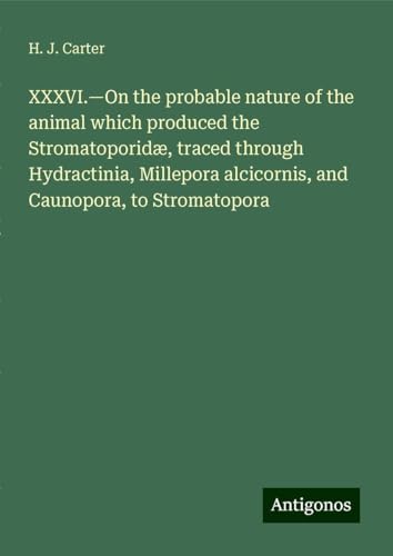 XXXVI.¿On the probable nature of the animal which produced the Stromatoporidæ, traced through Hydractinia, Millepora alcicornis, and Caunopora, to Stromatopora