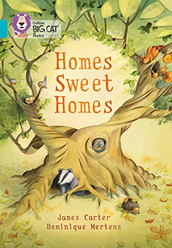 Homes Sweet Homes: Band 07/Turquoise (Collins Big Cat) von Collins
