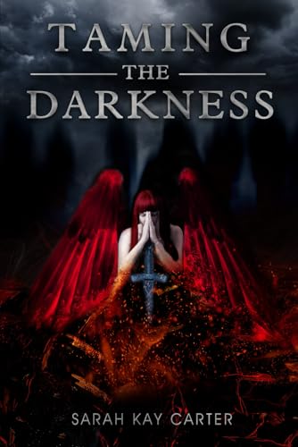 Taming the Darkness von Independently published