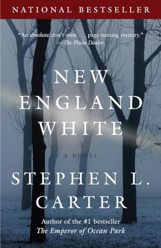 New England White: A Novel (Vintage Contemporaries) von Vintage