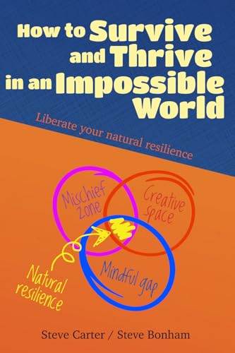 How to Survive and Thrive in an Impossible World (second edition): Liberate your natural resilience von Artisan Creative