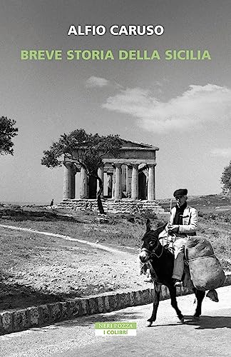 Breve storia della Sicilia (I colibrì)