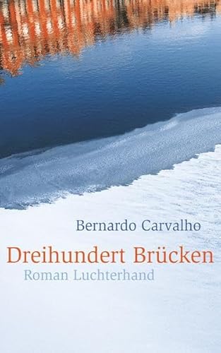 Dreihundert Brücken: Roman