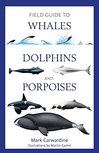 Field Guide to Whales, Dolphins and Porpoises (Bloomsbury Naturalist)