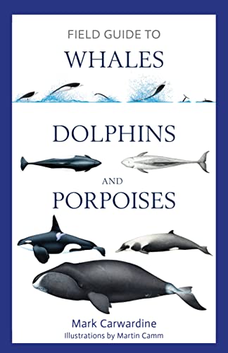 Field Guide to Whales, Dolphins and Porpoises (Bloomsbury Naturalist) von Bloomsbury Wildlife