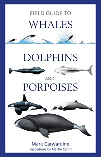 Field Guide to Whales, Dolphins and Porpoises (Bloomsbury Naturalist) von Bloomsbury Wildlife