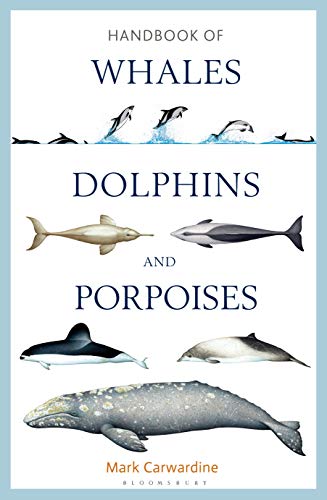 Handbook of Whales, Dolphins and Porpoises von Bloomsbury Wildlife