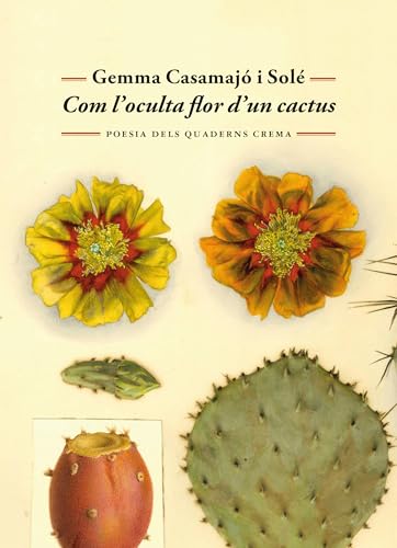 Com l'oculta flor d'un cactus (Poesia dels Quaderns Crema, Band 76) von Quaderns Crema
