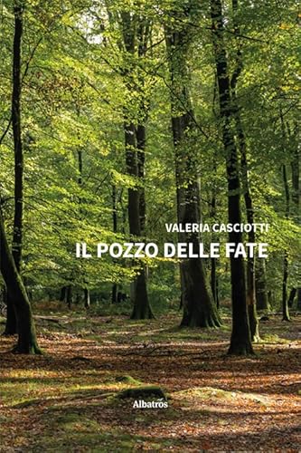 Il pozzo delle fate (Nuove voci. Strade) von Gruppo Albatros Il Filo