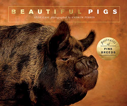 Beautiful Pigs: Portraits of champion breeds (Beautiful Animals)