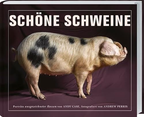 Schöne Schweine: Porträts ausgezeichneter Rassen von Andy Case, fotografiert von Andrew Perris. von Landwirtschaftsvlg Münster