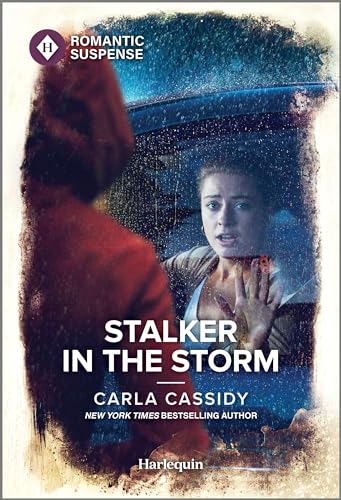 Stalker in the Storm (The Scarecrow Murders, 4)