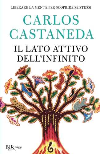 Il lato attivo dell'infinito (BUR Best BUR)