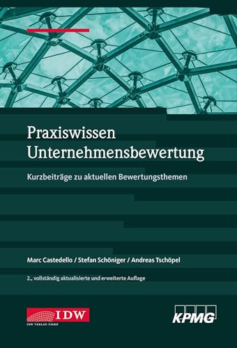 Praxiswissen Unternehmensbewertung, 2. Aufl.: Kurzbeiträge zu aktuellen Bewertungsthemen (IDW Unternehmensbewertung: Bewertung, Rechnungslegung und Prüfung) von IDW