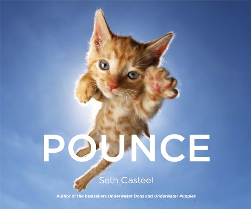Pounce von Sphere