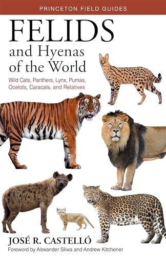 Felids and Hyenas of the World: Wildcats, Panthers, Lynx, Pumas, Ocelots, Caracals, and Relatives von Princeton University Press
