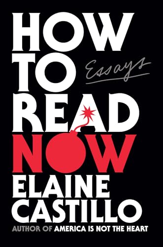 How to Read Now: Essays How to Read Now: Essays von Viking