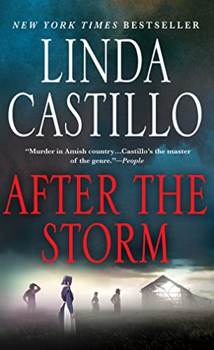 After the Storm (Kate Burkholder)