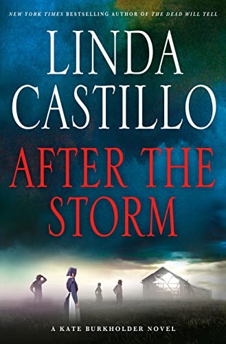 After the Storm: A Kate Burkholder Novel