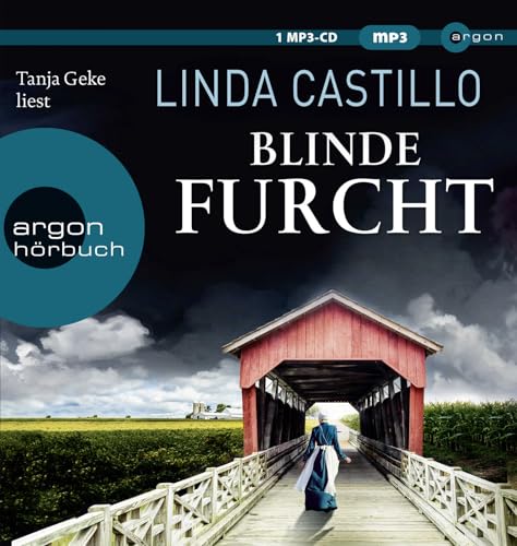 Blinde Furcht: Thriller