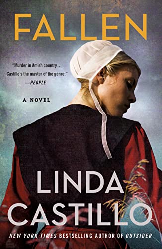 Fallen: A Novel of Suspense (The Kate Burkholder, 13) von Macmillan USA