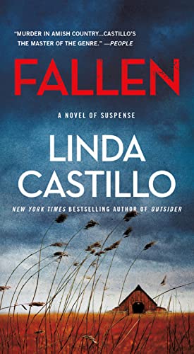 Fallen: A Novel of Suspense (The Kate Burkholder, Band 13)