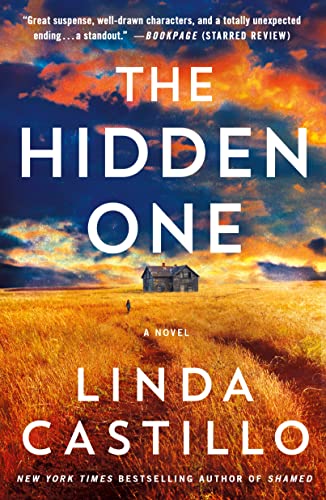 Hidden One: A Novel of Suspense (The Kate Burkholder, 14)