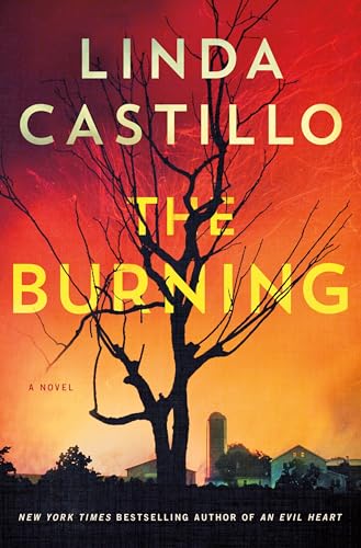 The Burning (Kate Burkholder, 16)