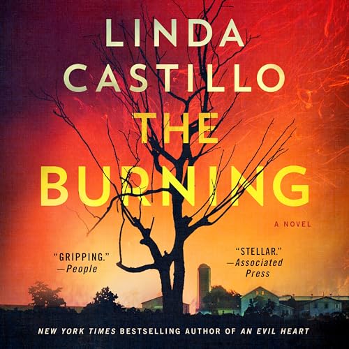 The Burning (Kate Burkholder, 16)