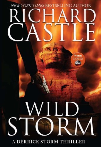 Wild Storm: A Derrick Storm Thriller (A Derrick Storm Thriller, 2, Band 2)