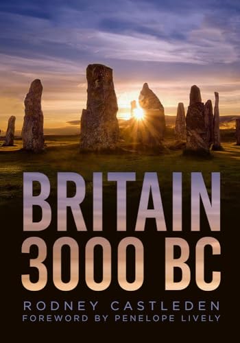Britain 3000 Bc von The History Press Ltd