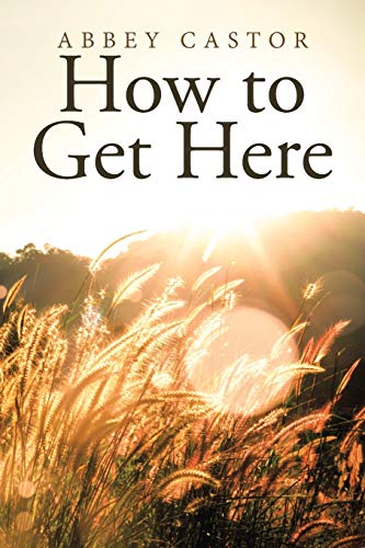 How to Get Here von LifeRich Publishing