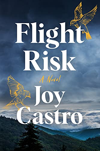 Flight Risk: A Novel von Lake Union Publishing