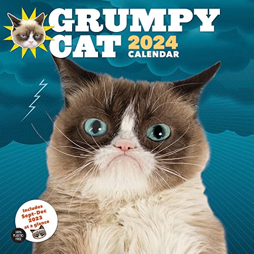 Grumpy Cat 2024 Wall Calendar von Chronicle Books