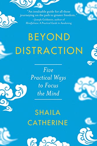 Beyond Distraction: Five Practical Ways to Focus the Mind von Wisdom Publications