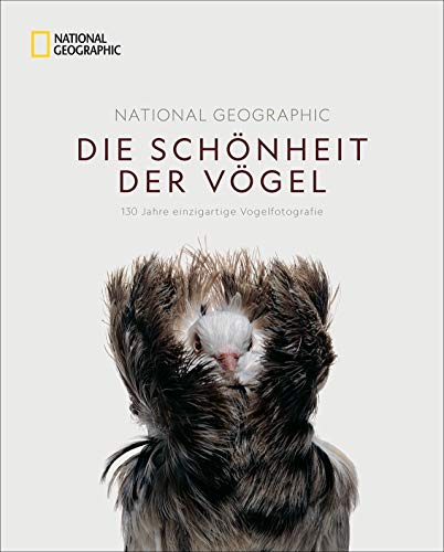 Bildband: Die Schönheit der Vögel. Vogelfotografie der Superlative. Die spektakulärsten Fotos der besten National Geographic Fotografen von 1888 bis ... 130 Jahre einzigartige Vogelfotografie