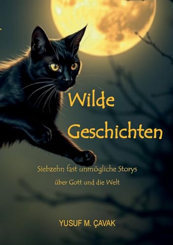 Wilde Geschichten: Siebzehn fast unmögliche Storys über Gott und die Welt von BoD – Books on Demand