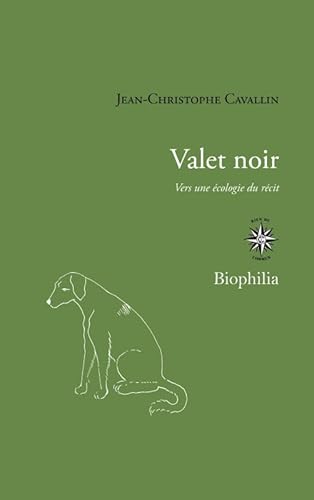 Valet noir: Vers une écologie du récit