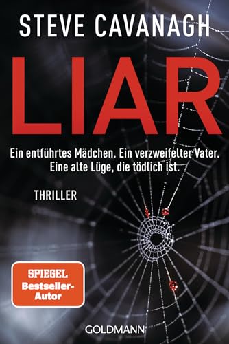 Liar: Thriller (Eddie-Flynn-Reihe, Band 3)