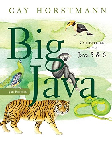 Big Java von John Wiley & Sons