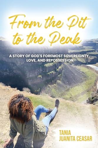 From the Pit to the Peak: A Story of God's Foremost Sovereignty, Love, and Repossession von Luminous Publishing