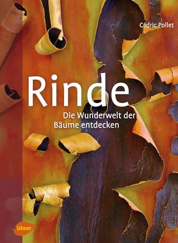 Rinde: Die Wunderwelt der Bäume entdecken von Ulmer Eugen Verlag