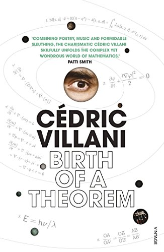 Birth of a Theorem: A Mathematical Adventure von Vintage