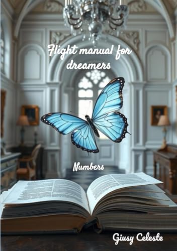 Flight manual for dreamers - Numbers (Flight manuals for dreamers, Band 4) von Independently published