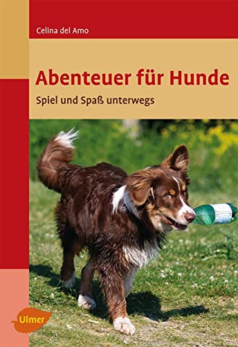 Abenteuer für Hunde: Spiel und Spaß unterwegs