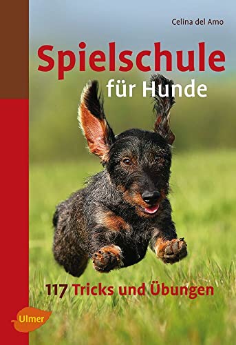 Spielschule für Hunde: 117 Tricks und Übungen: 117 Tricks und Übungen. Vorwort v. Viviane Theby