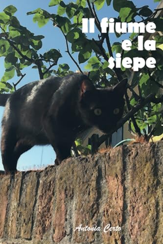 Il fiume e la siepe von Youcanprint