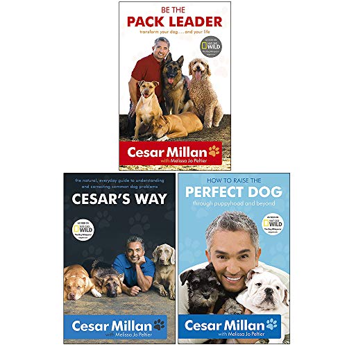 Cesar Milan 3 Books Collection Set (How to Raise the Perfect Dog, Cesar's Way: Everyday Guide to Understanding & Correcting Common Dog Problems & Be the Pack Leader)